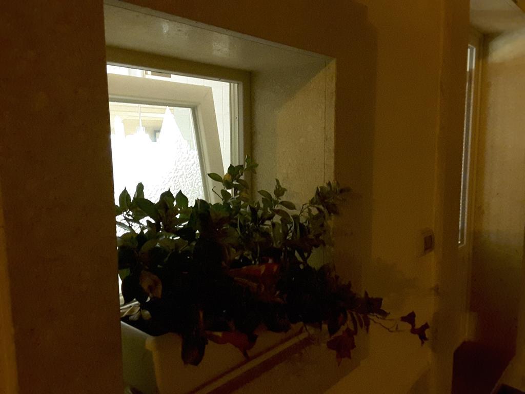 Apartment Sassi Sedicidiciotto *